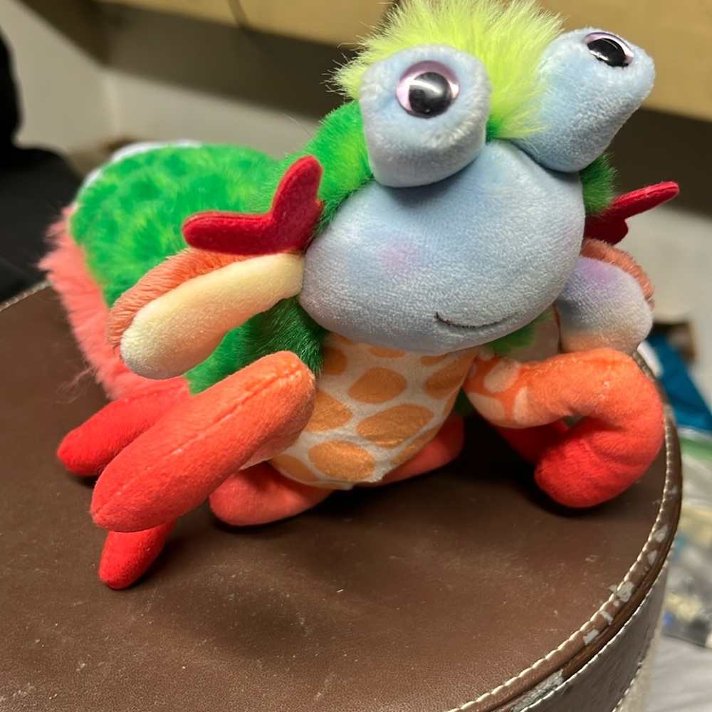 Douglas Mantid Shrimp